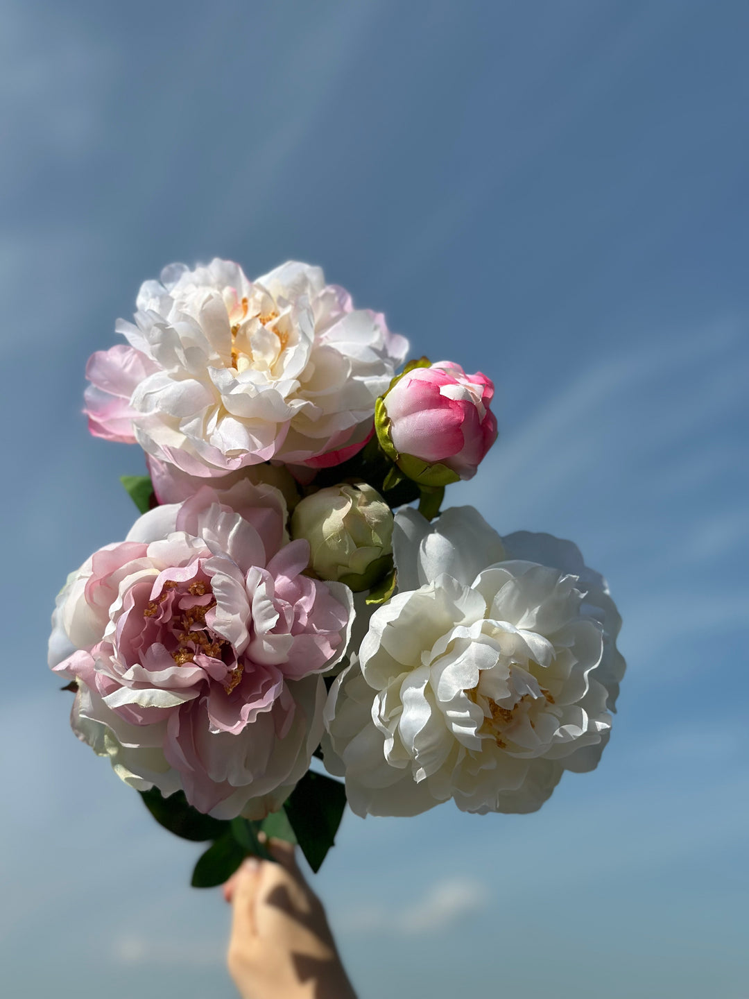 Watercolour Large Peonies (3 colours)