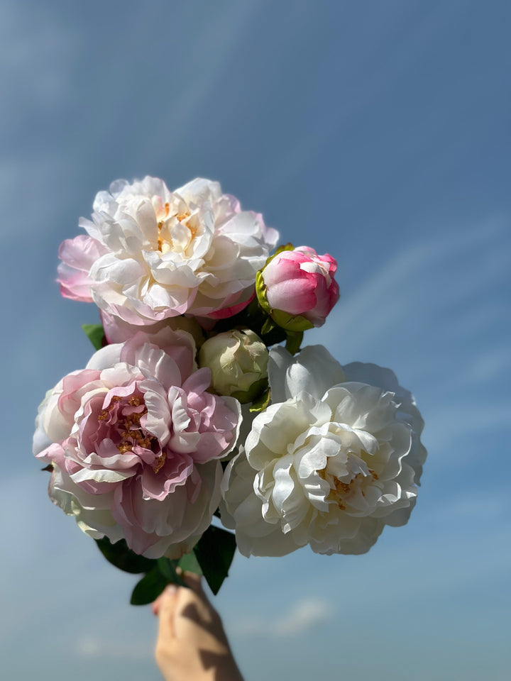 Watercolour Large Peonies (3 colours)