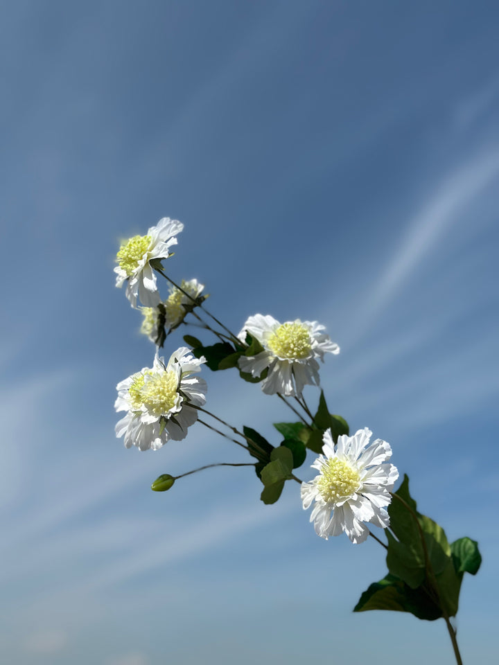 Cornflower Branches (3 colours)