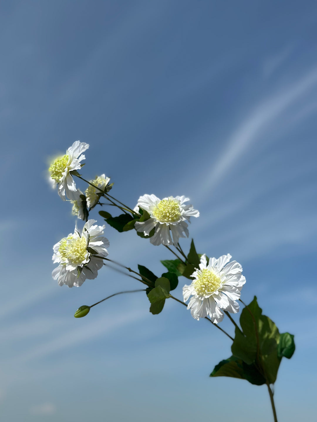 Cornflower Branches (3 colours)