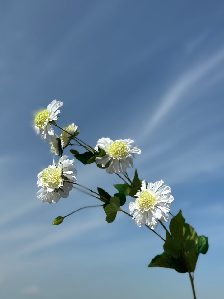 Cornflower Branches (3 colours)
