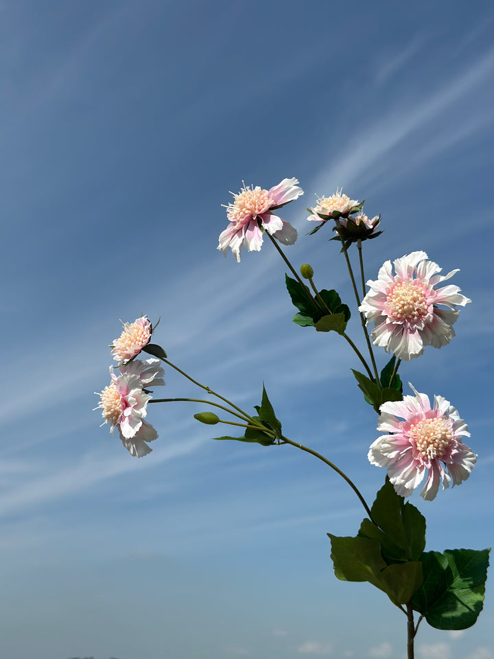 Cornflower Branches (3 colours)
