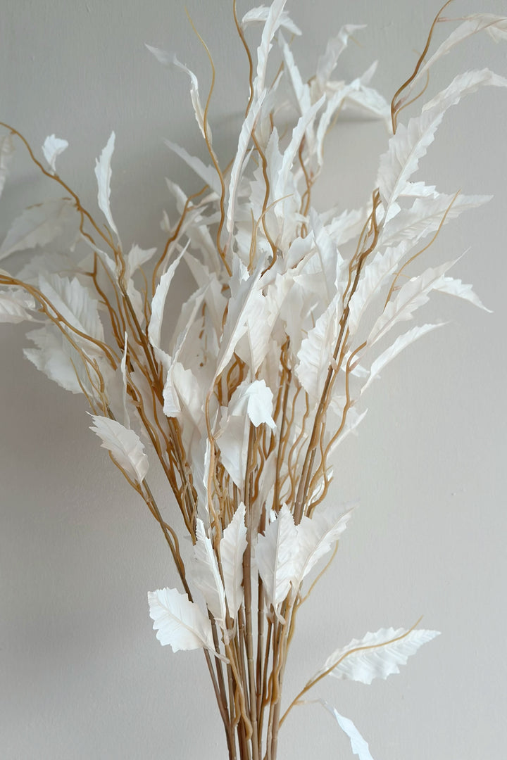 Bleached White Leave Branches