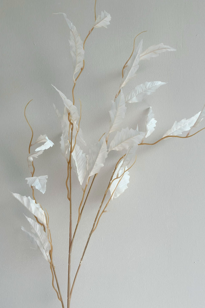 Bleached White Leave Branches