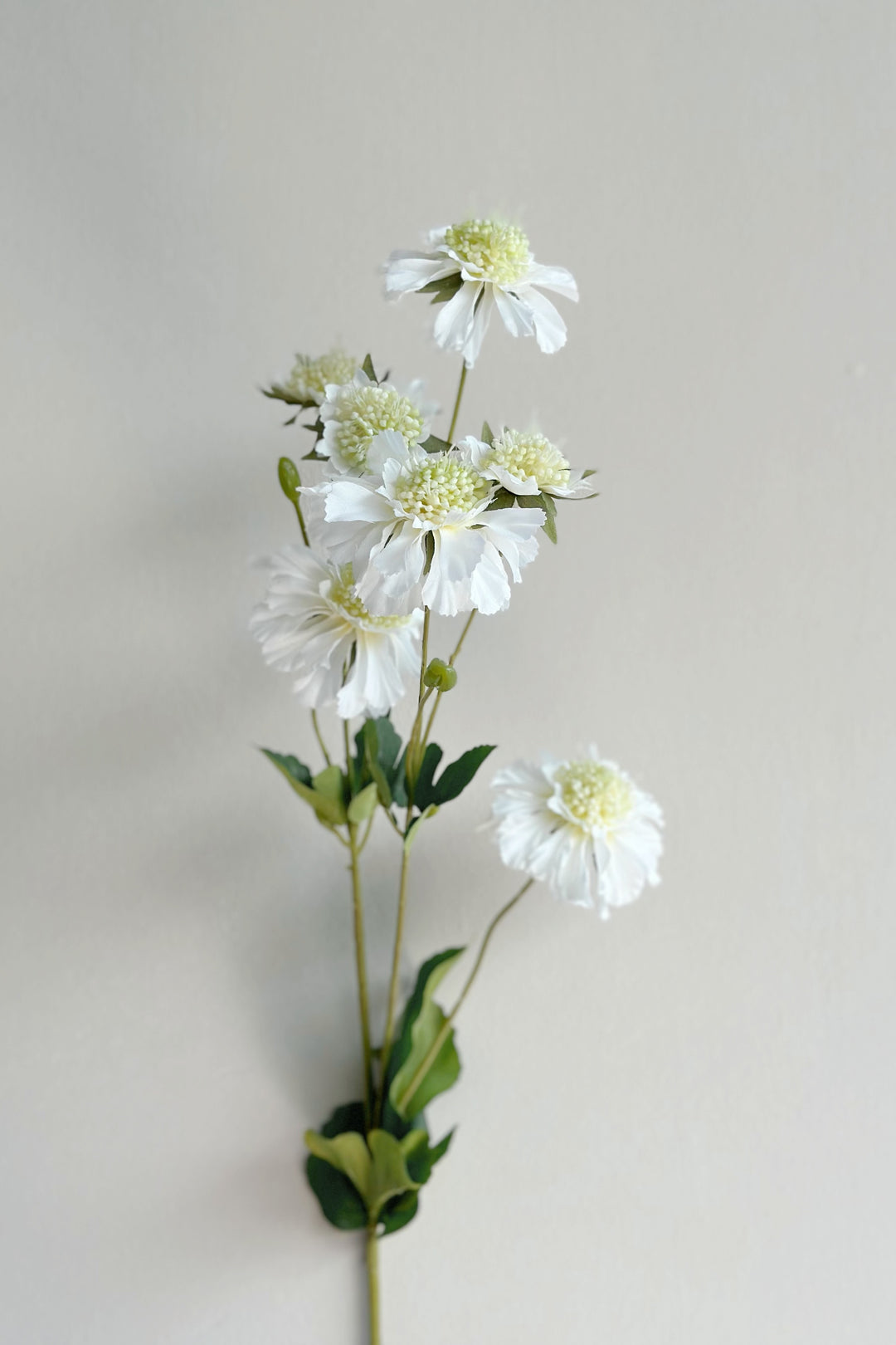 Cornflower Branches (3 colours)