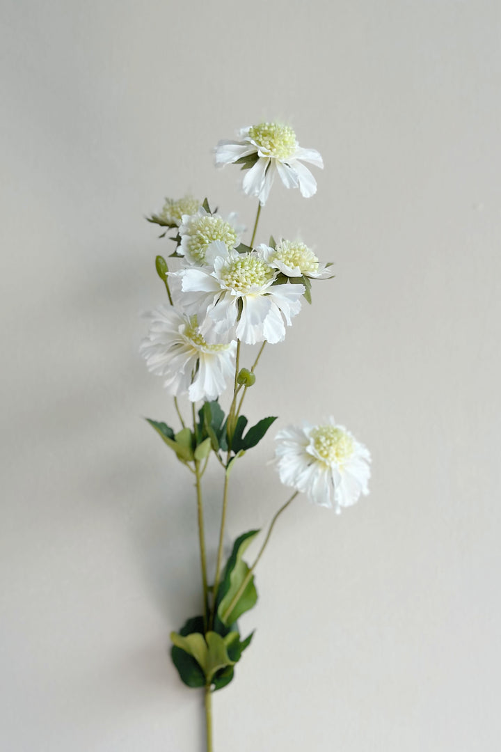 Cornflower Branches (3 colours)