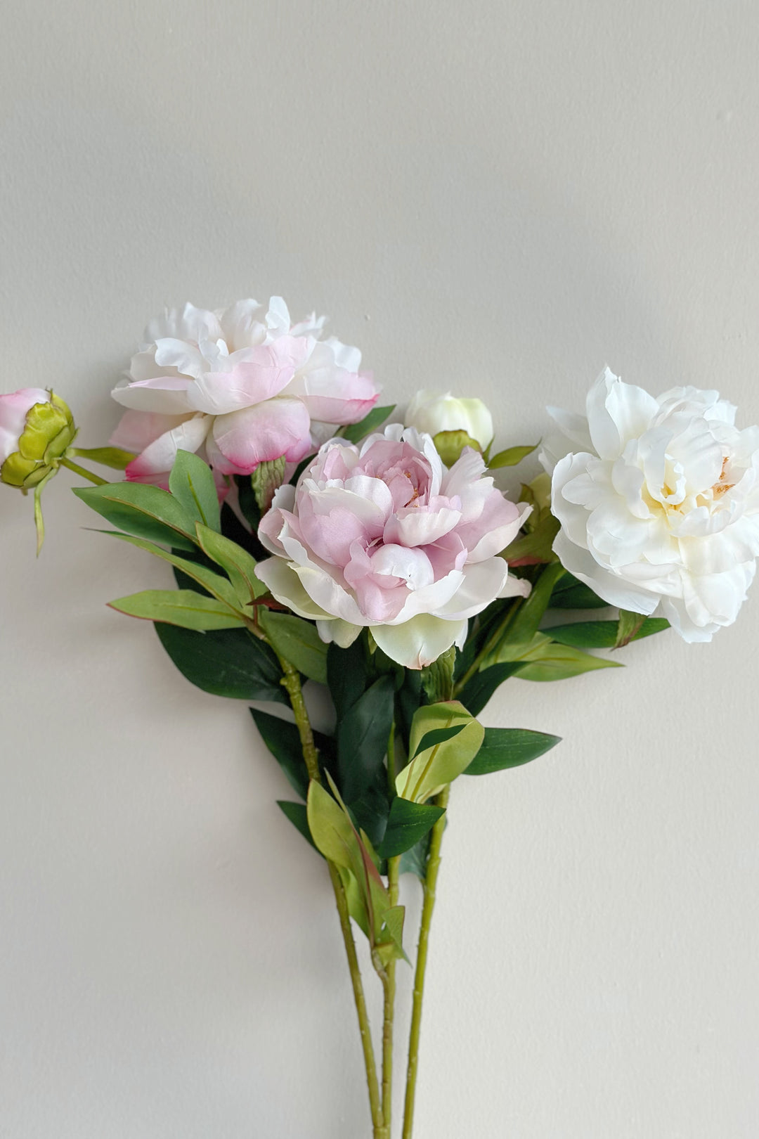 Watercolour Large Peonies (3 colours)