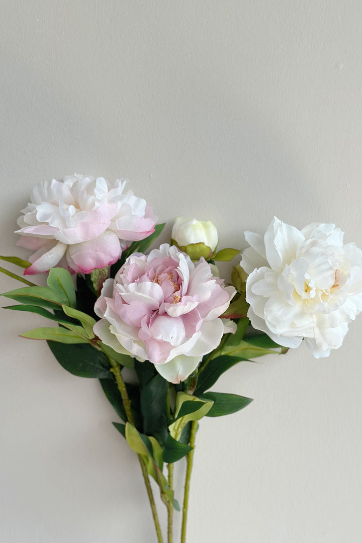 Watercolour Large Peonies (3 colours)
