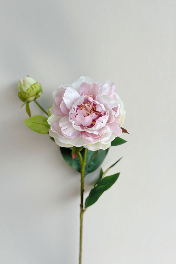 Watercolour Large Peonies (3 colours)