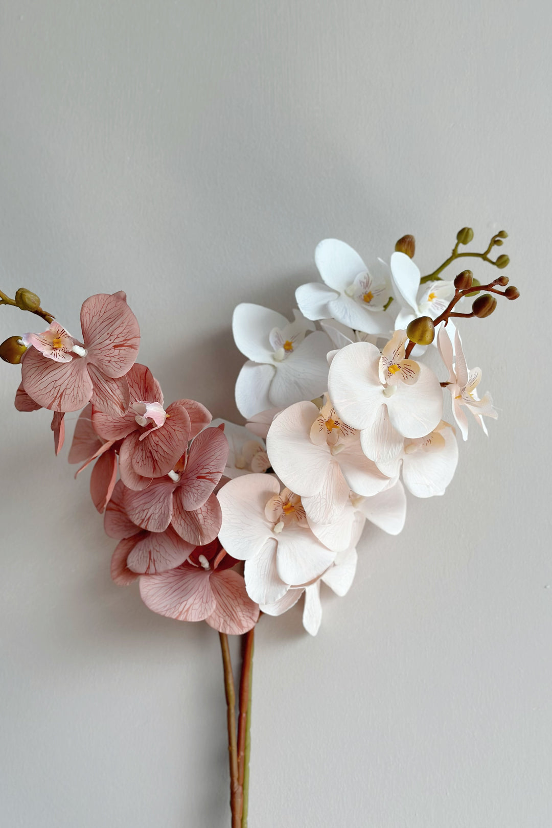 Autumn Orchids (3 colours)