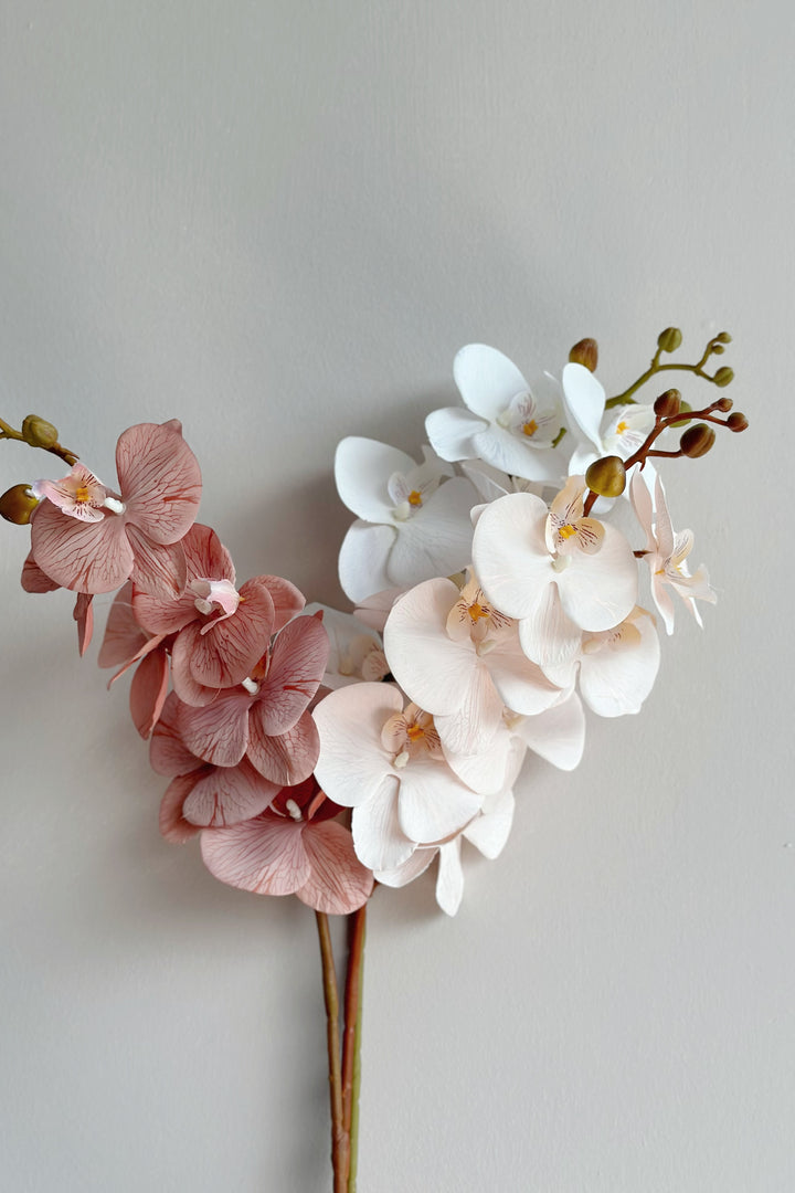 Autumn Orchids (3 colours)