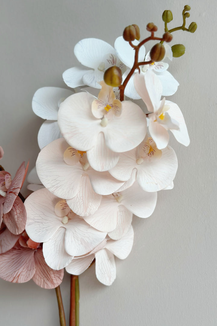 Autumn Orchids (3 colours)