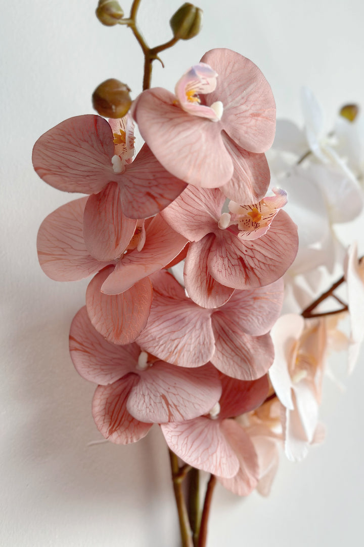 Autumn Orchids (3 colours)