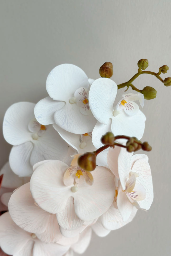 Autumn Orchids (3 colours)