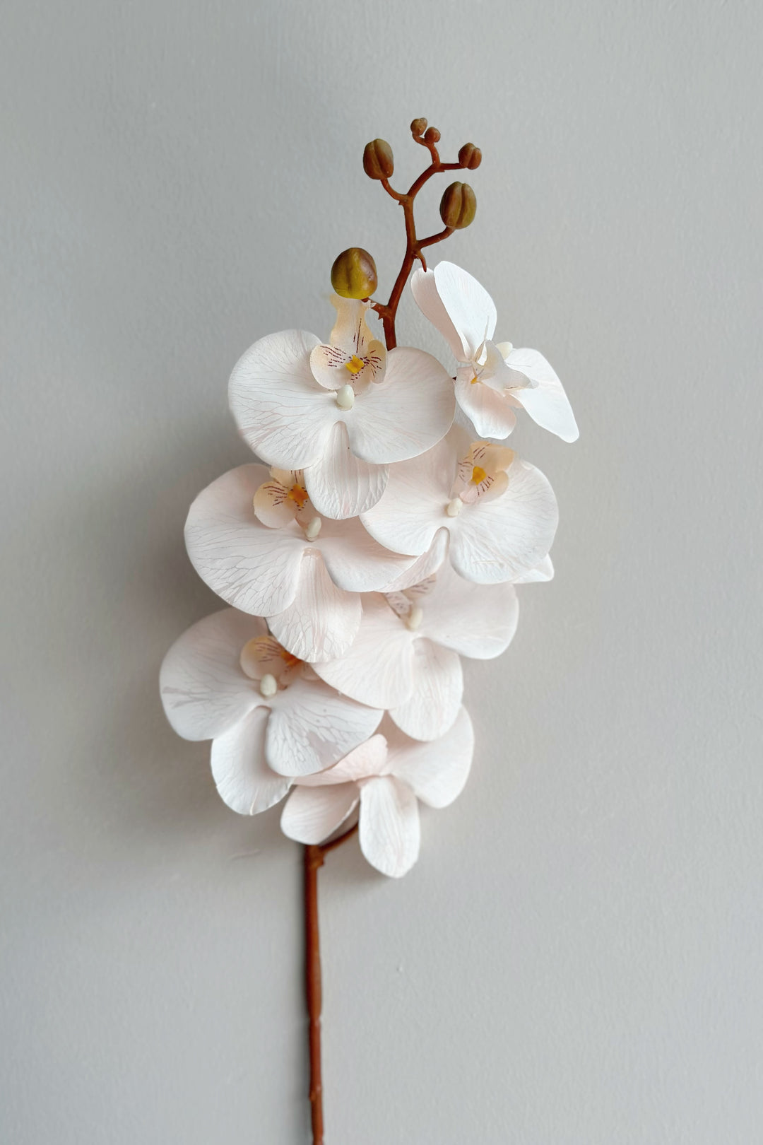 Autumn Orchids (3 colours)