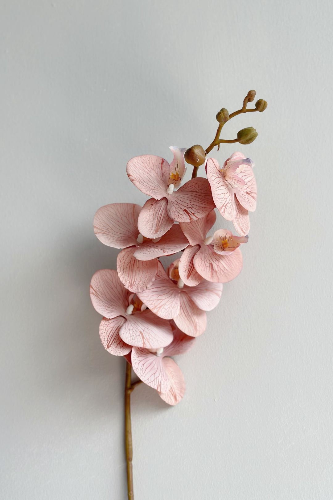 Autumn Orchids (3 colours)