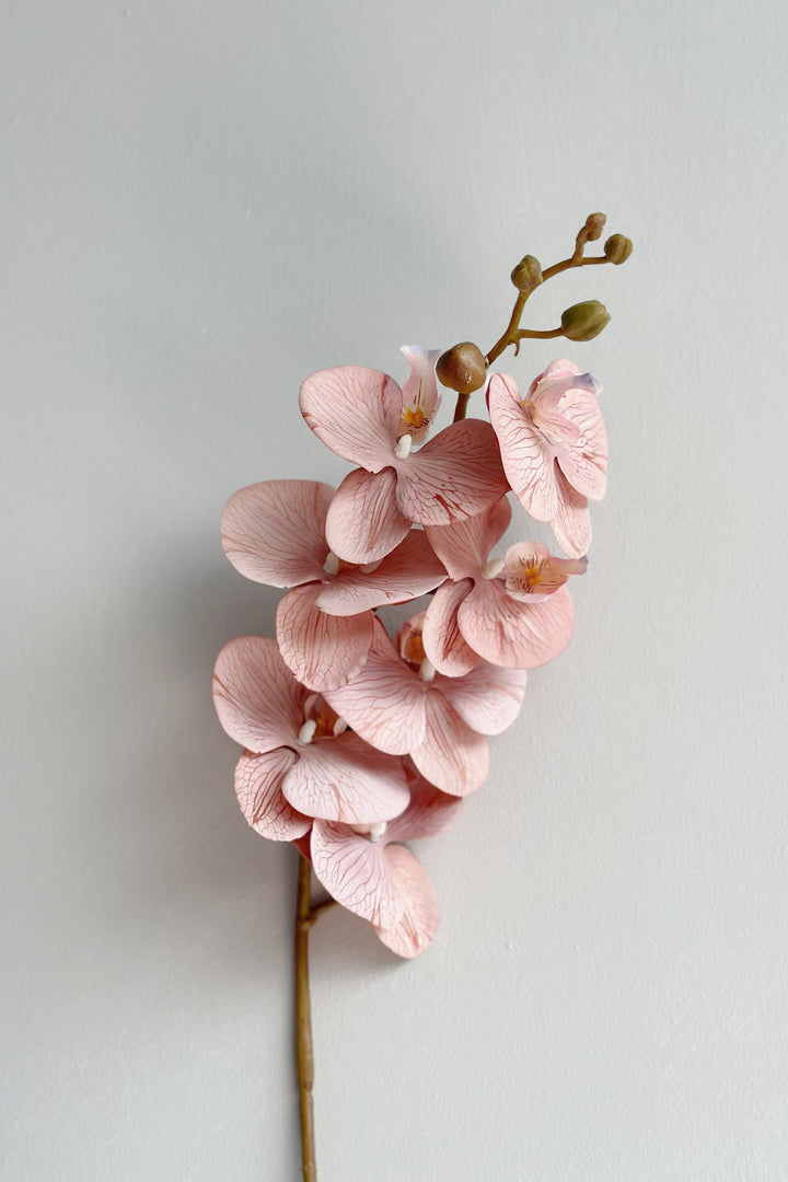 Autumn Orchids (3 colours)