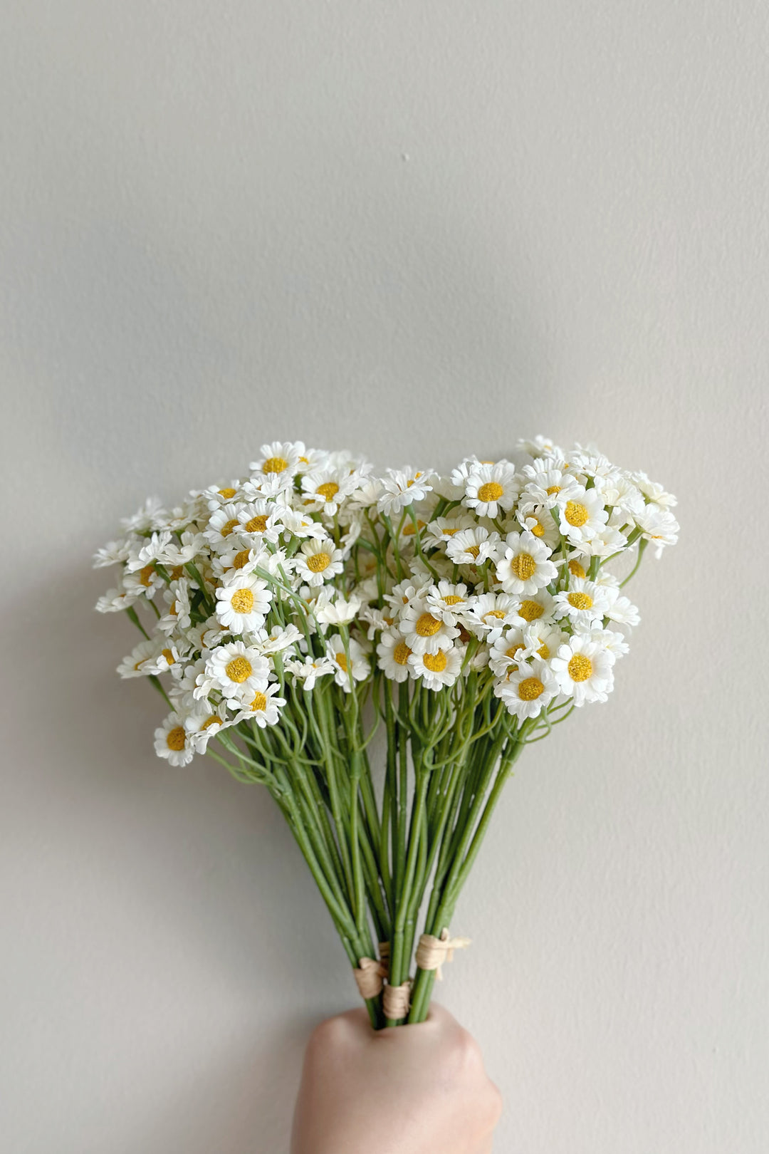 White Chamomile Flower Bundle (60 flowers)