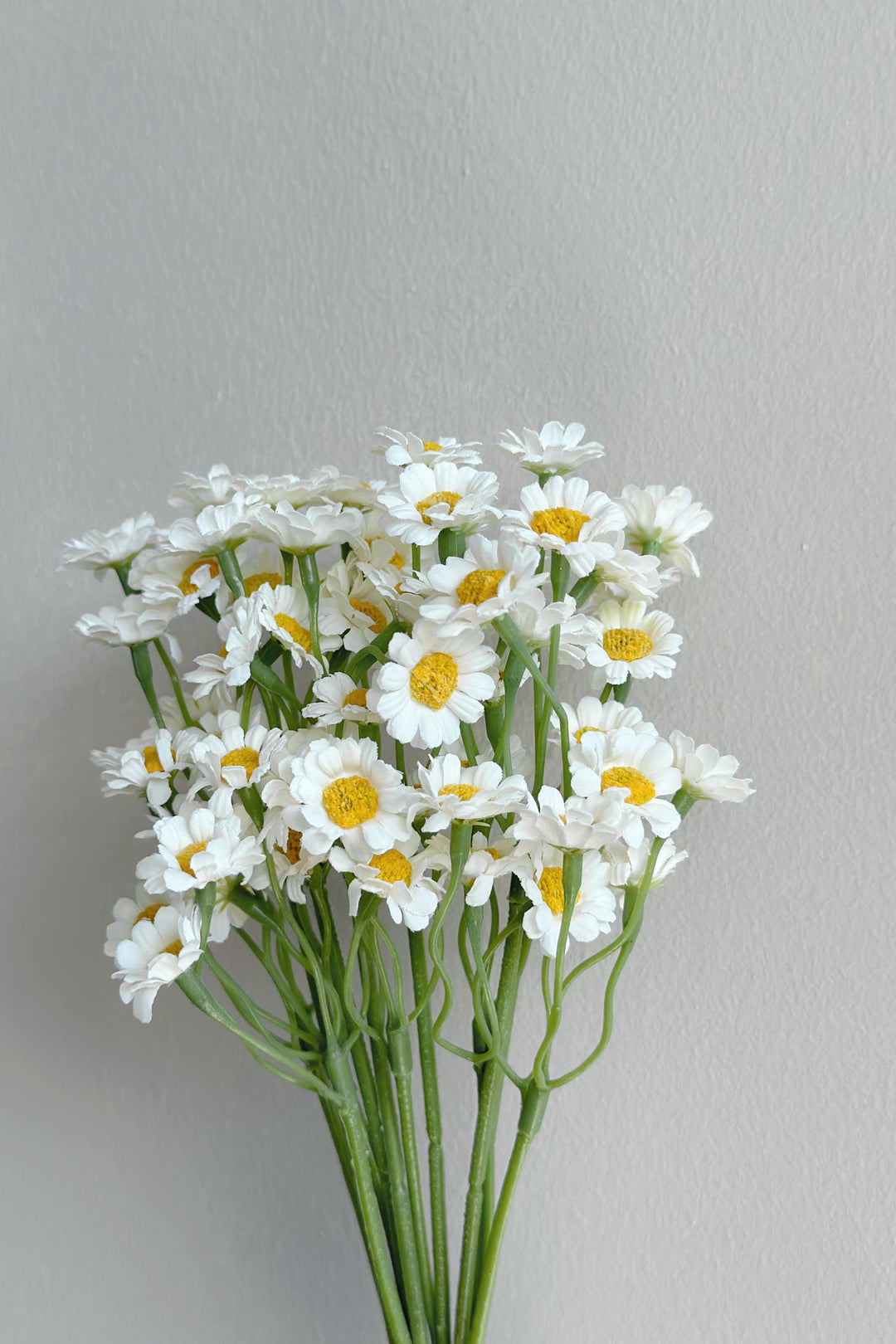 White Chamomile Flower Bundle (60 flowers)