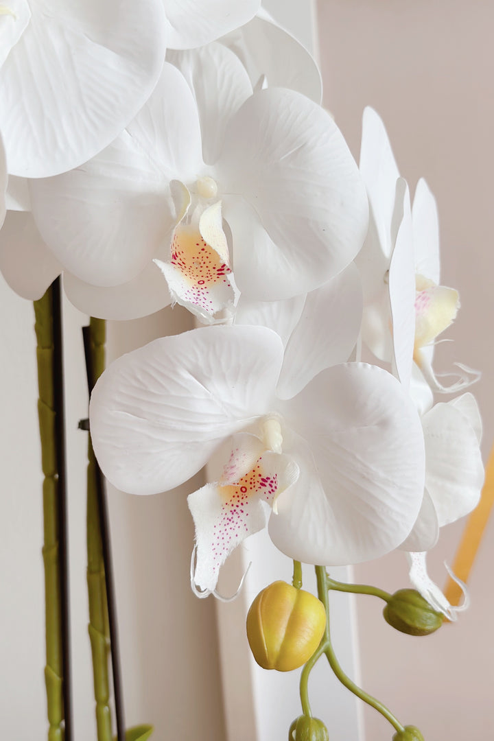 Artificial Potted White Orchids (2 branches)
