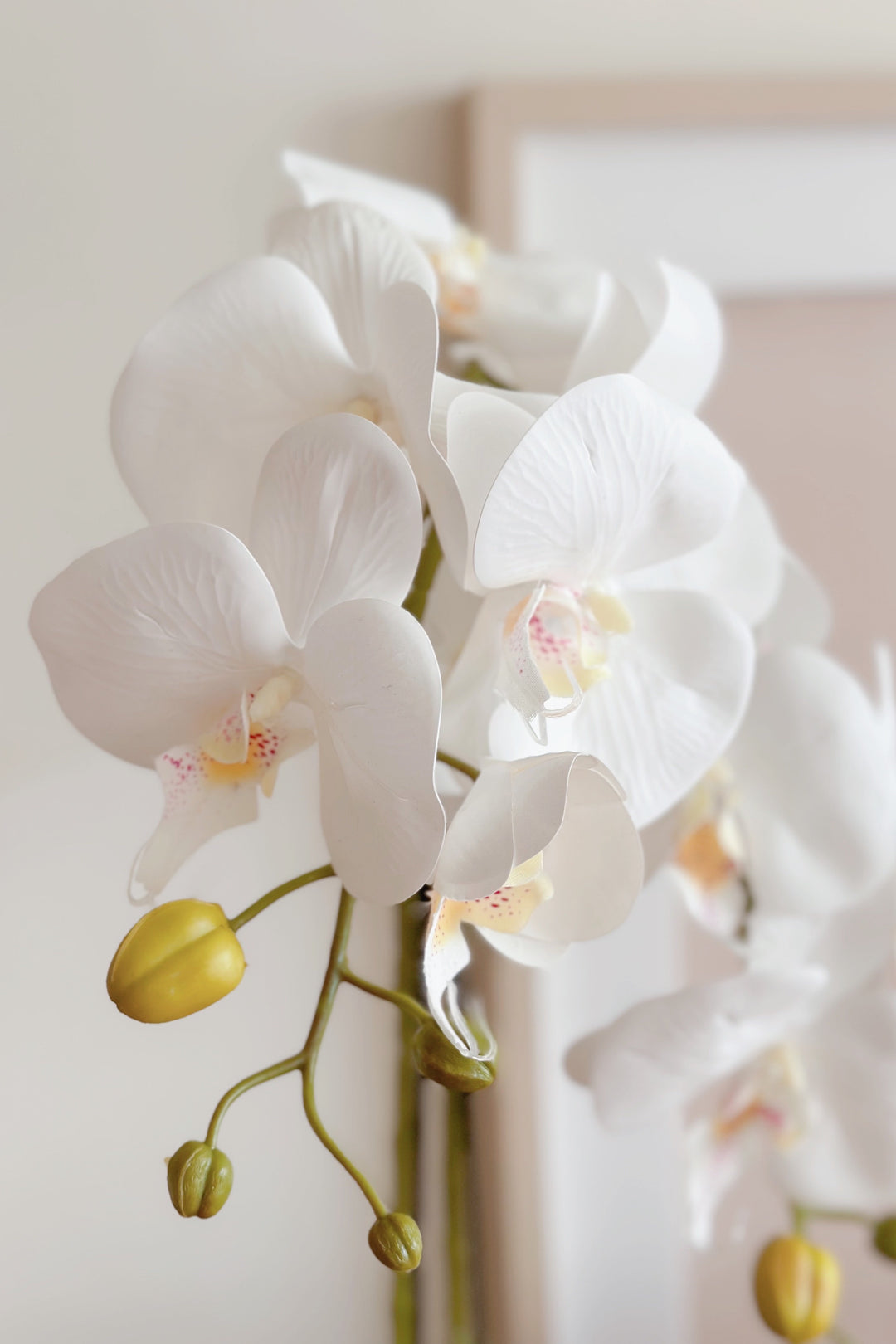 Artificial Potted White Orchids (2 branches)