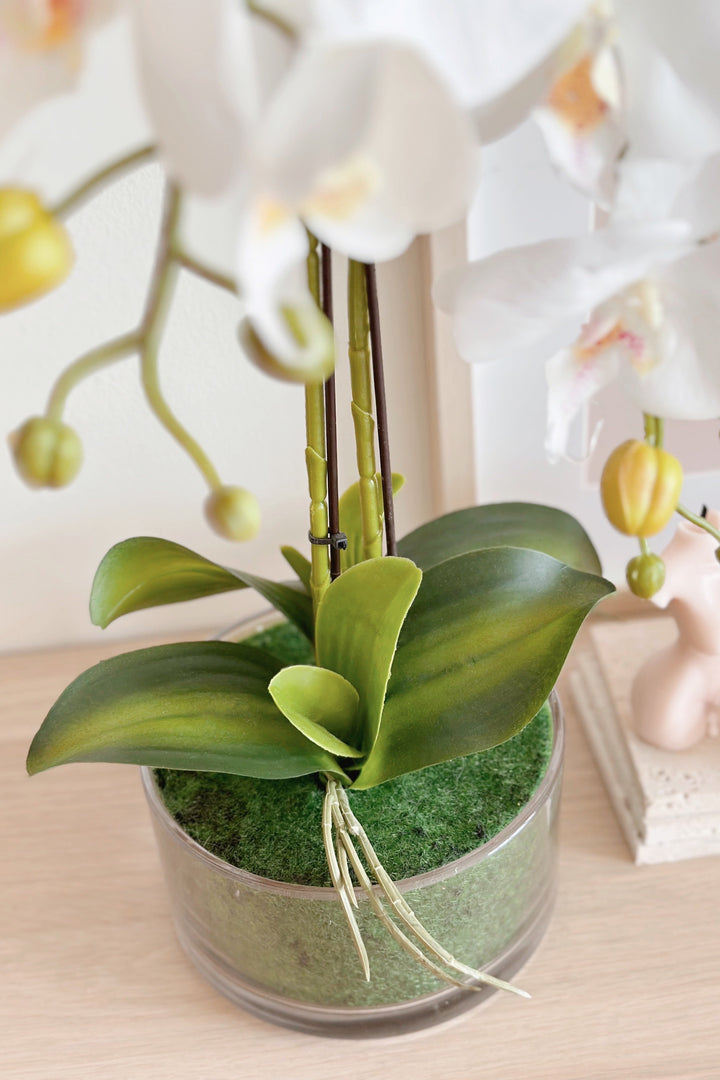 Artificial Potted White Orchids (2 branches)