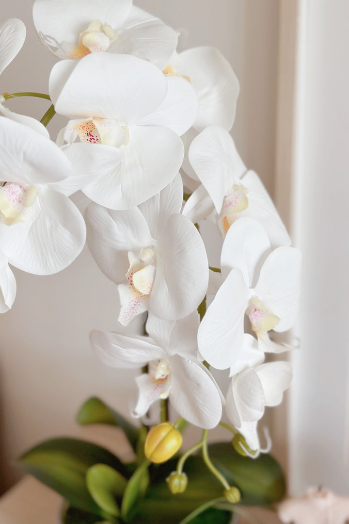 Artificial Potted White Orchids (2 branches)