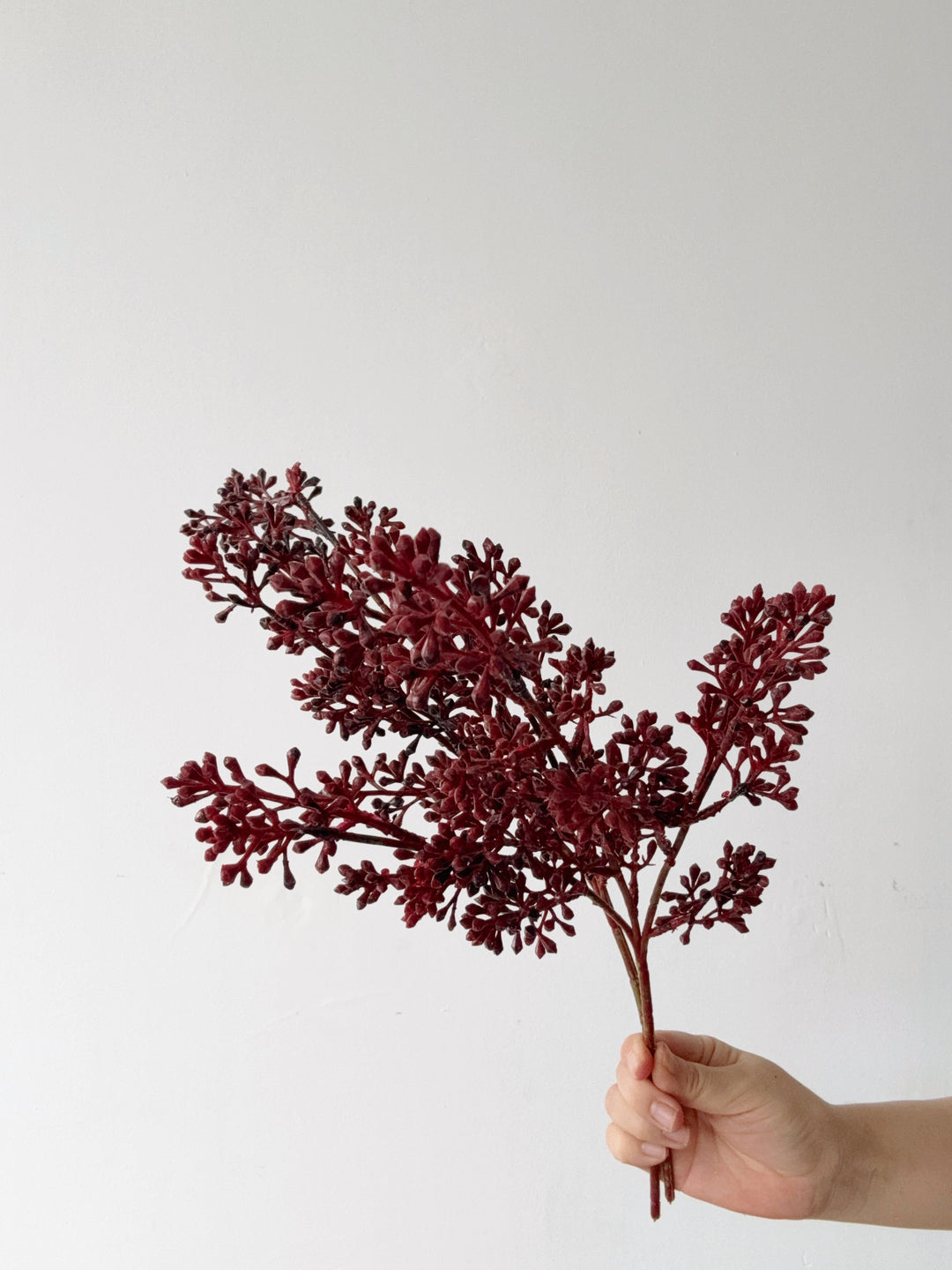Burgundy Seed Bud Spray (Set of 2)
