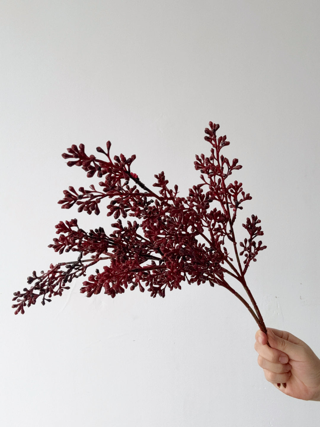 Burgundy Seed Bud Spray (Set of 2)