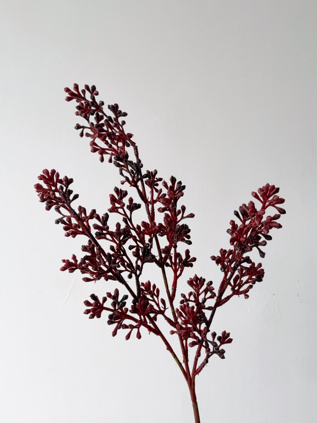 Burgundy Seed Bud Spray (Set of 2)