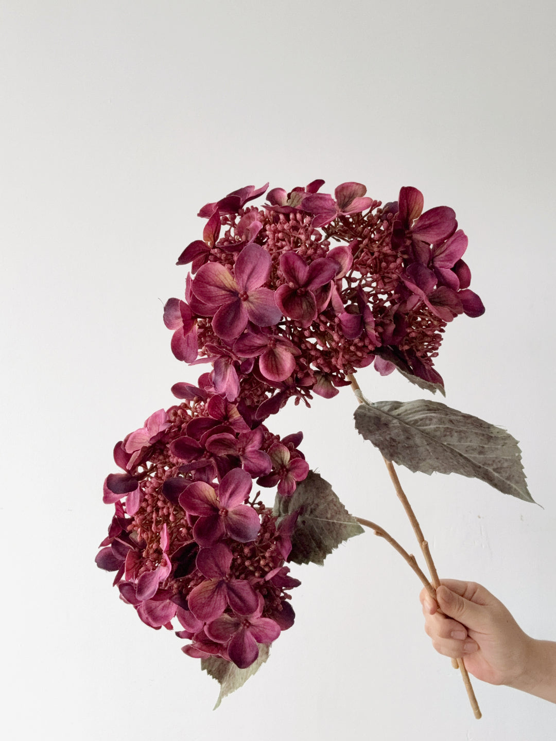 Antique Plum Hydrangea Stem
