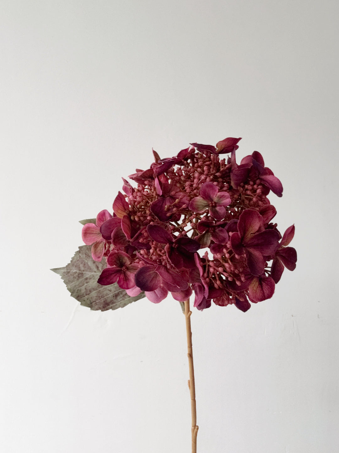 Antique Plum Hydrangea Stem