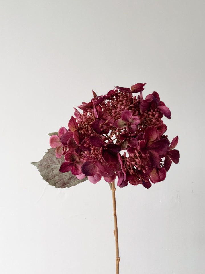 Antique Plum Hydrangea Stem