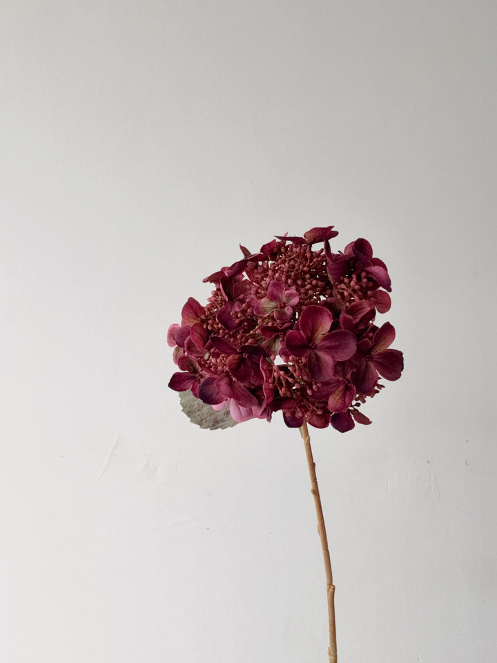 Antique Plum Hydrangea Stem