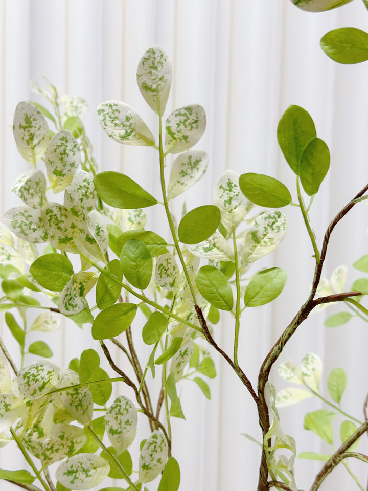 Faux Two Tone Moringa Branches