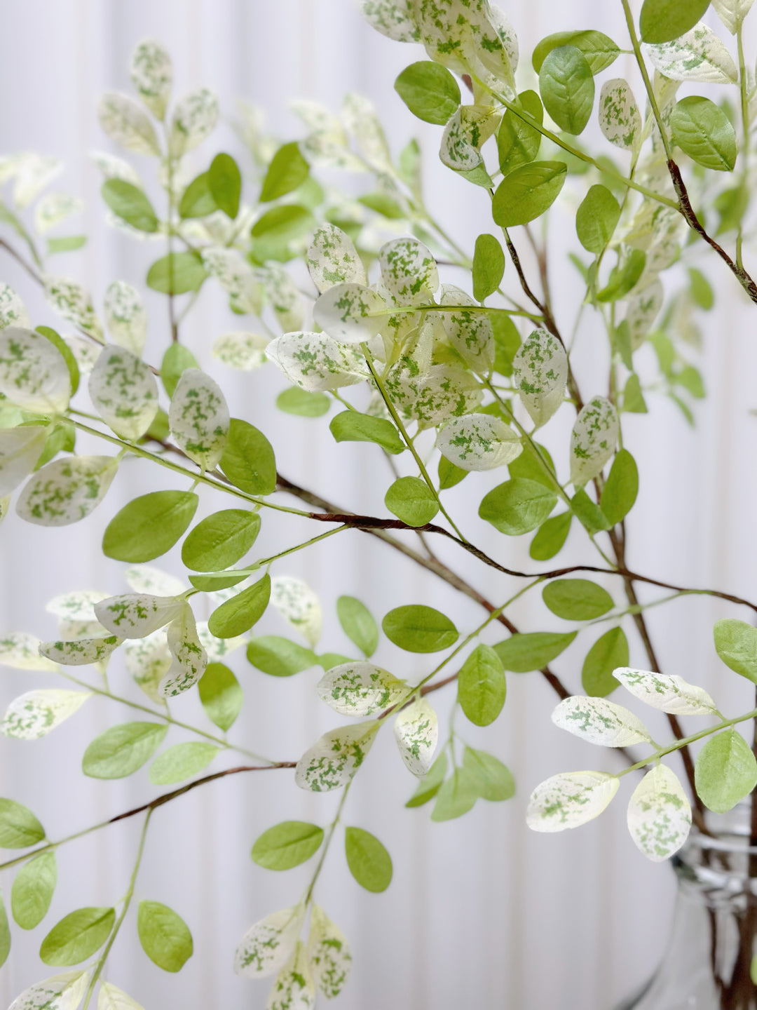 Faux Two Tone Moringa Branches