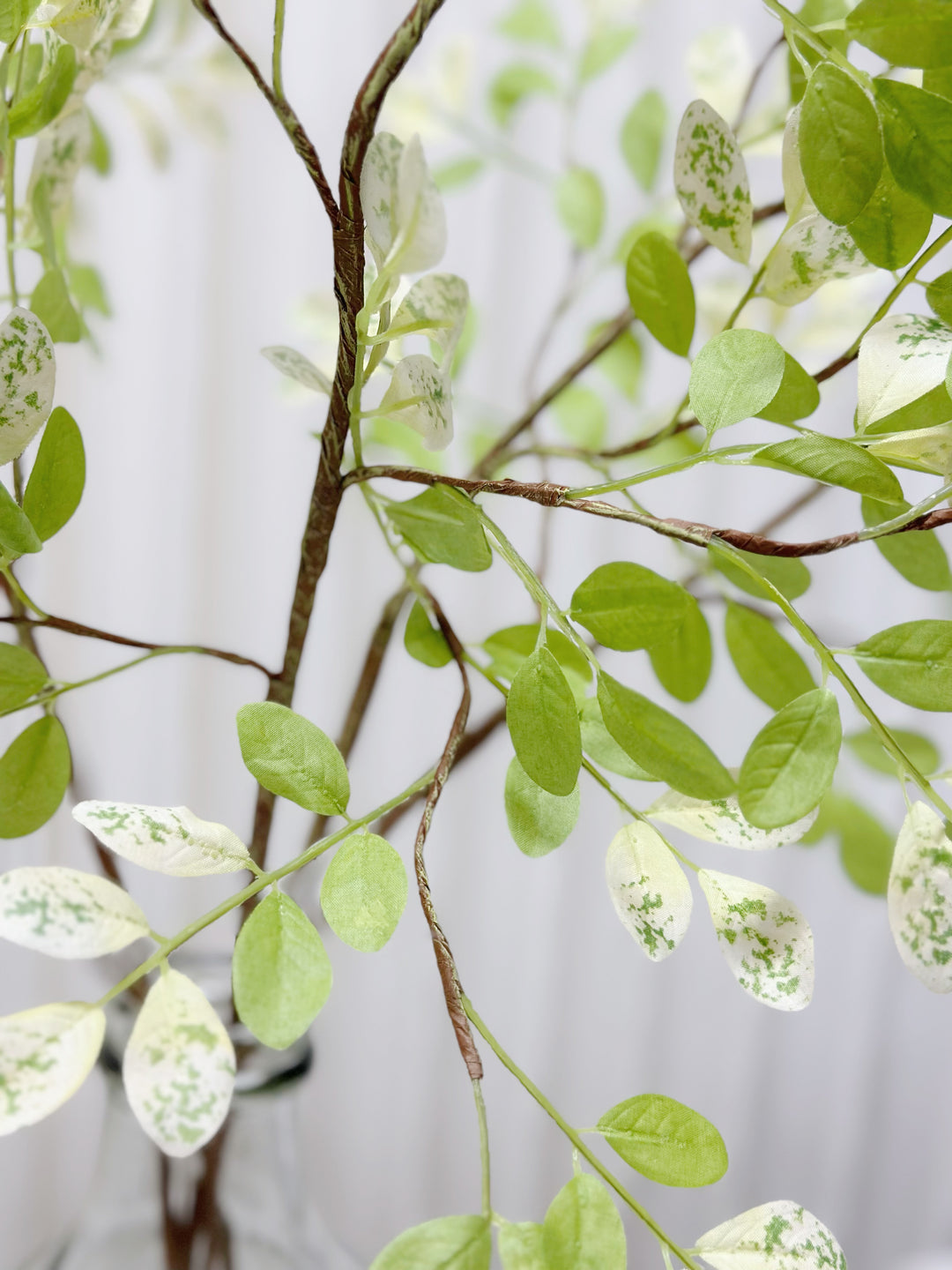 Faux Two Tone Moringa Branches