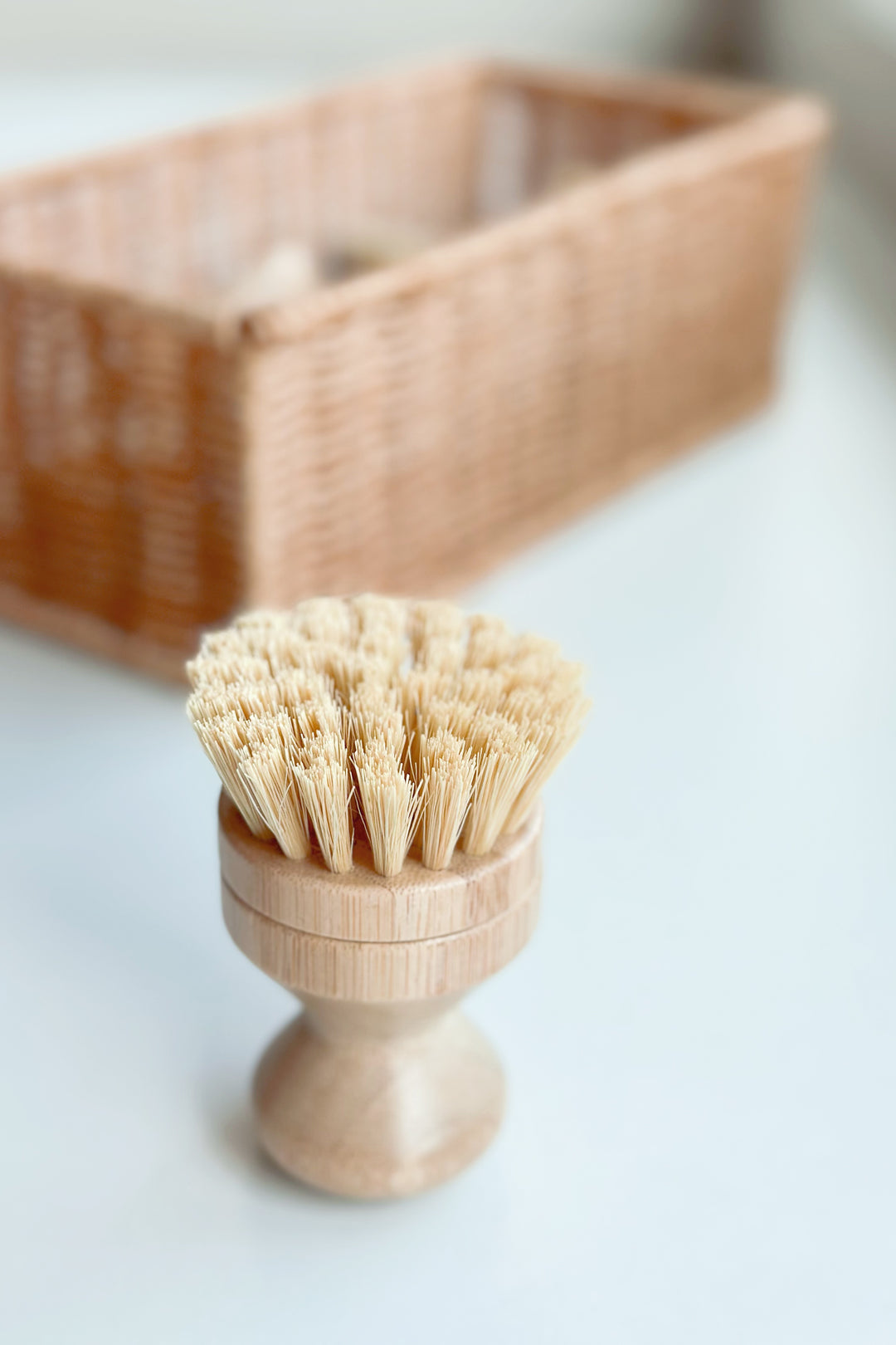 Short Bamboo Handle Replaceable Eco Scrubber