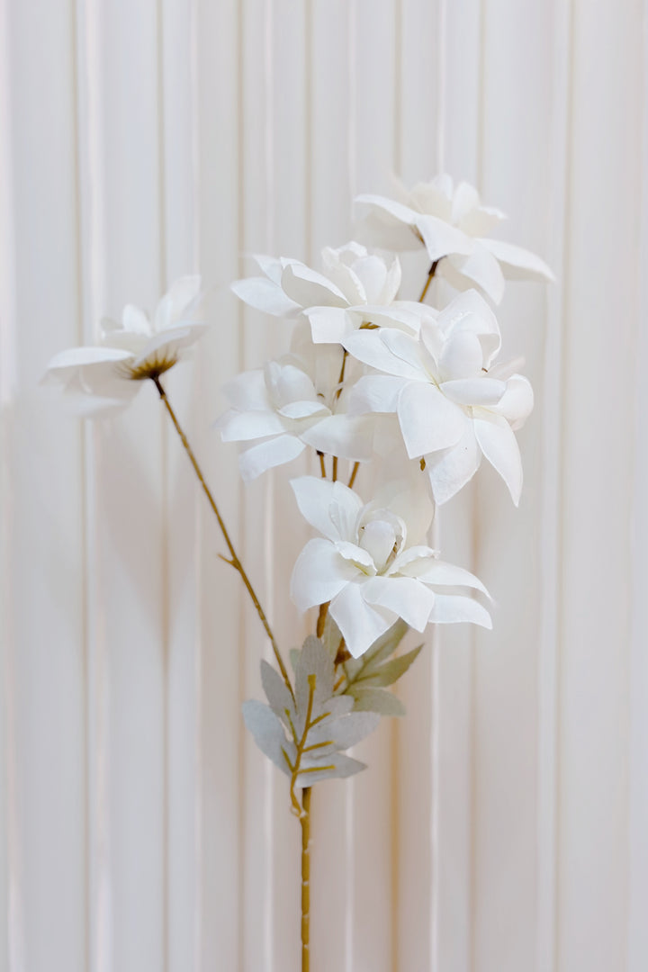 Small White Reflexed Tulip