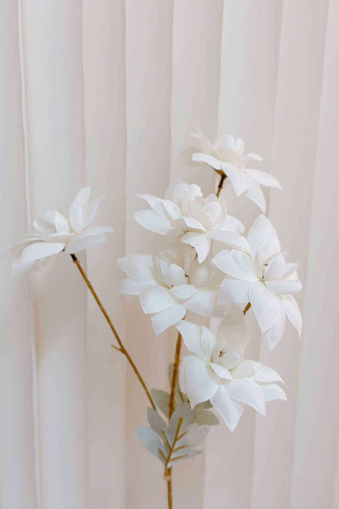 Small White Reflexed Tulip