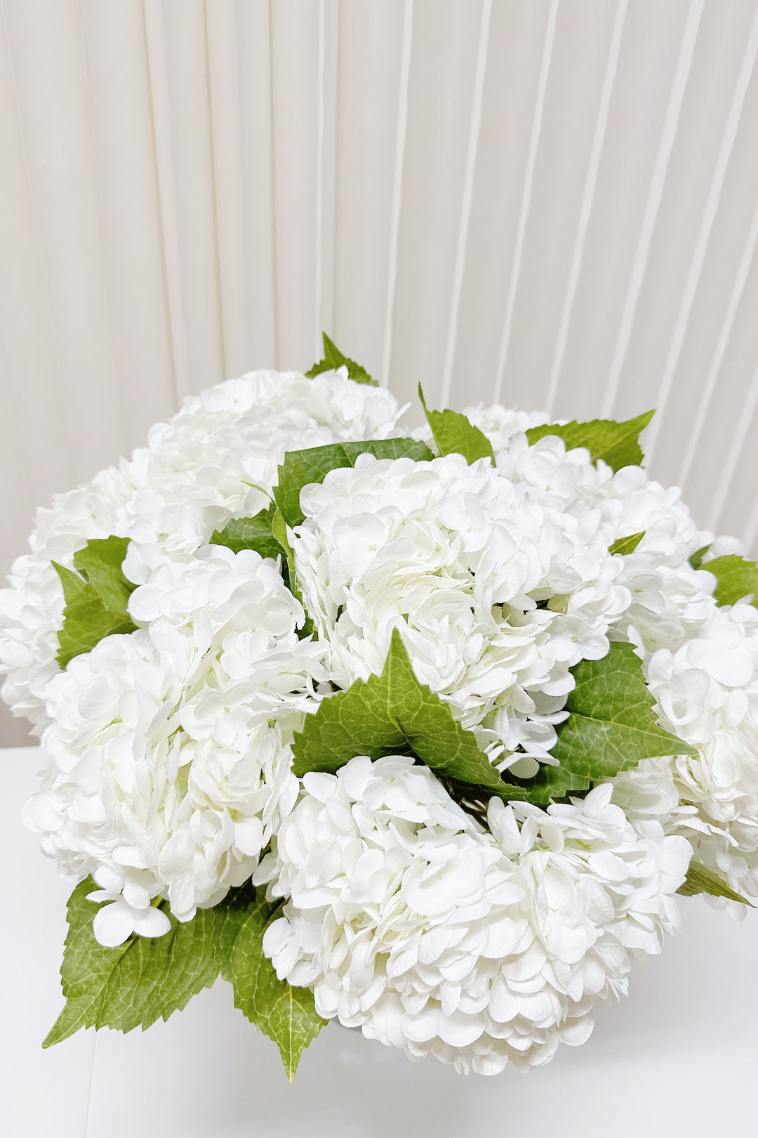 Refreshing White Hydrangea