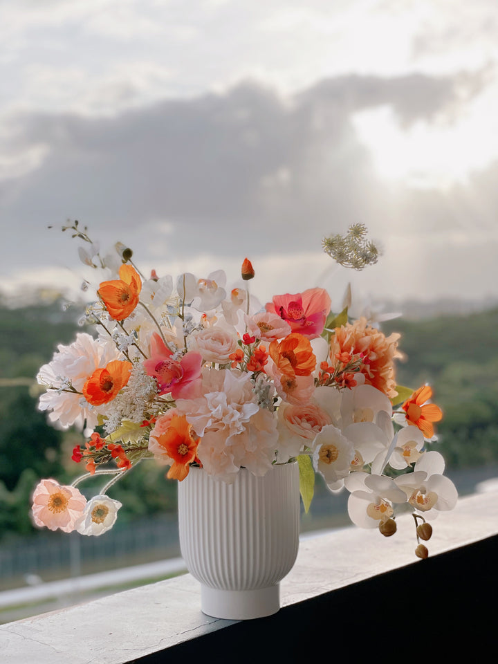 Garden Cosmos Flowers (5 colours)