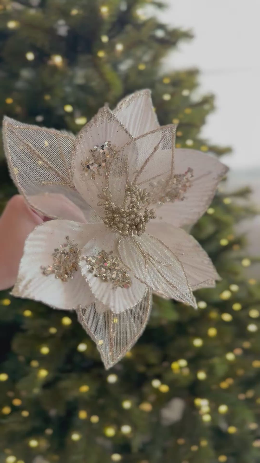 Celeste Bloom Poinsettia (2 colour options)