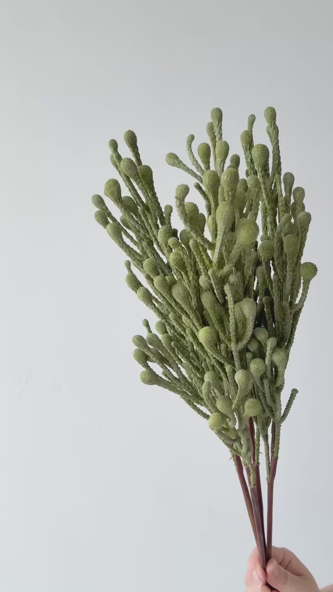 Spray Brunia Faux Branch