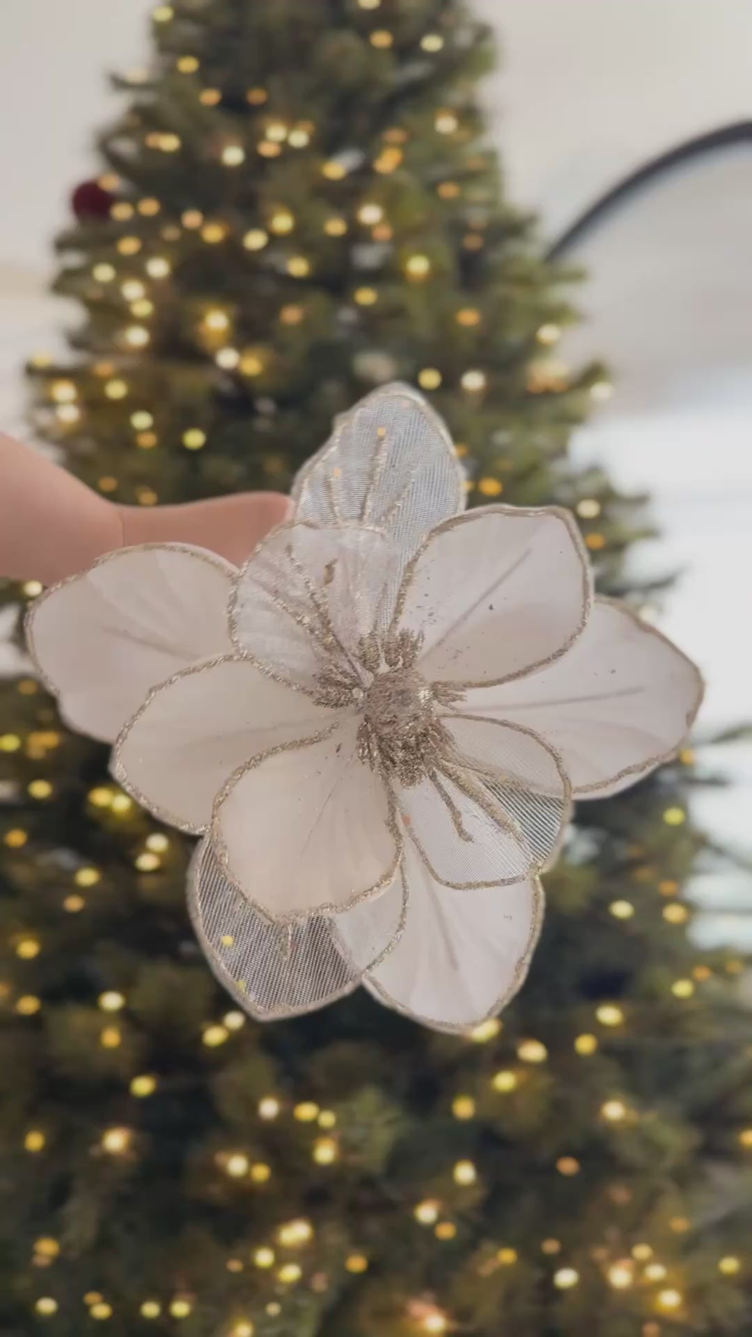 PRE-ORDER (19-23 Oct): Ivory & Champagne Magnolia Christmas Flower (2 options)