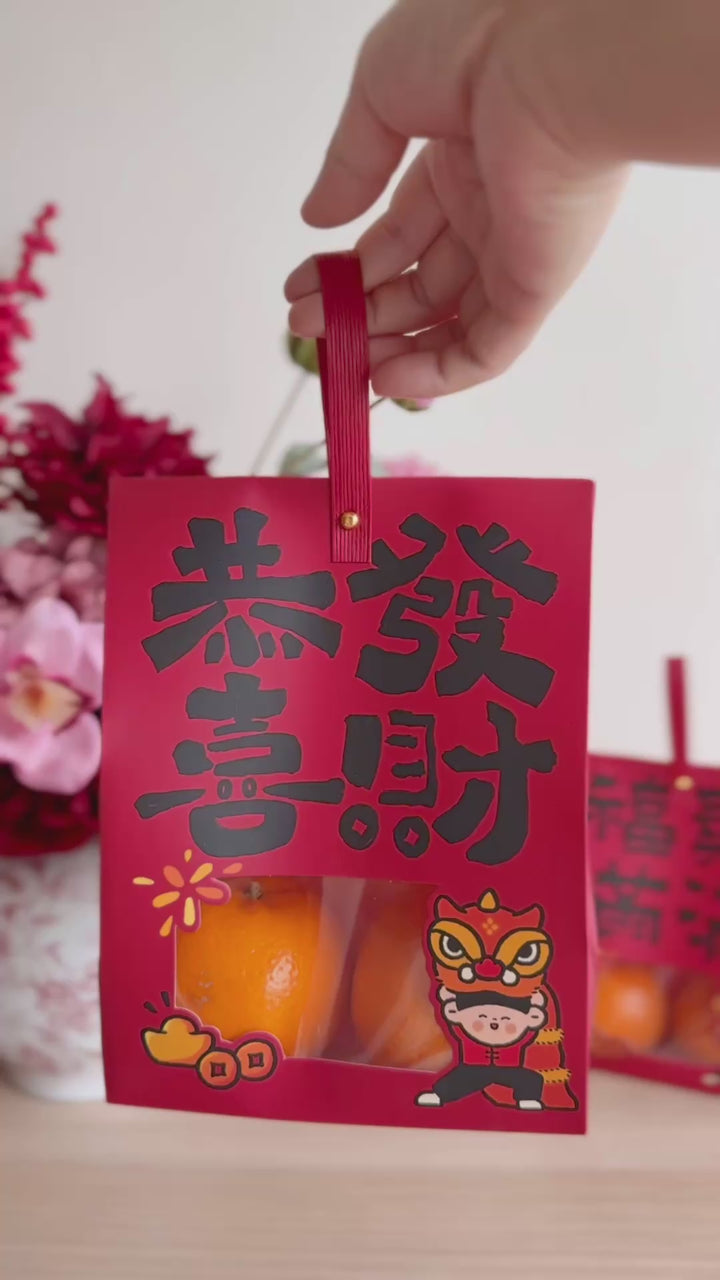 双喜福袋 Lucky Wishes CNY Goodie Bags (Set of 2)