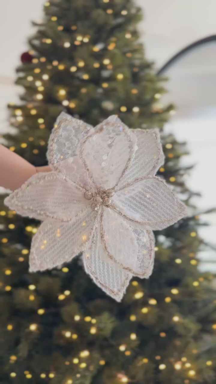 PRE-ORDER (19-23 Oct): Sheer Shimmer Poinsettia Collection (2 colours)