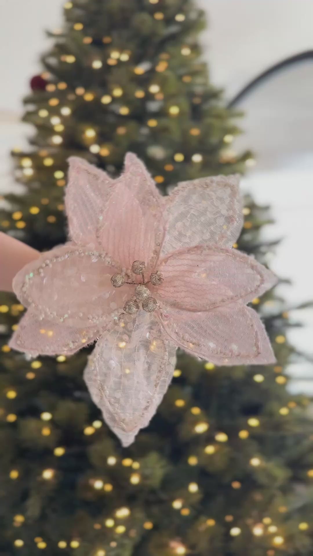 PRE-ORDER (19-23 Oct): Sheer Shimmer Poinsettia Collection (2 colours)