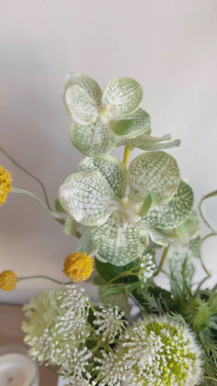 Verdant Poise Bloom in the Pot (1-sided)