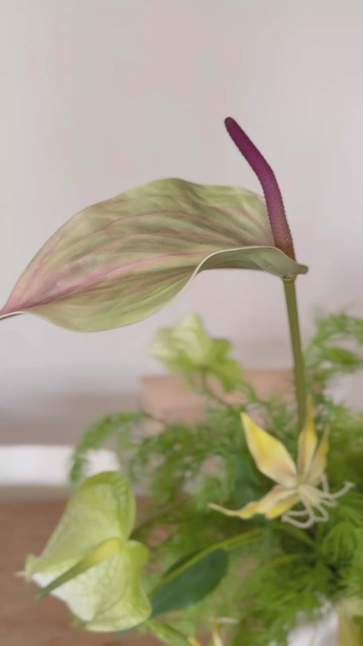 金满千庭 Golden Abundance Bloom In The Vase (2-Sided)